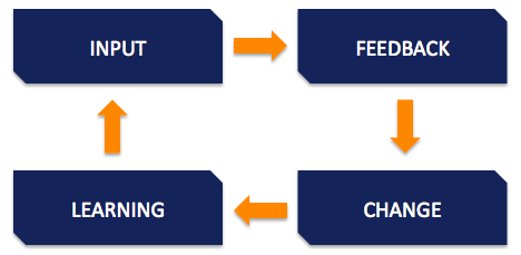 行動學(xué)習(xí)周期